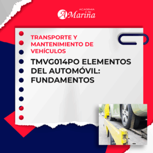 TMVG014PO ELEMENTOS DEL AUTOMÓVIL: FUNDAMENTOS